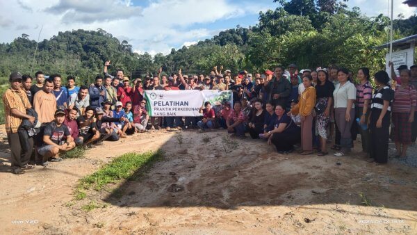 Pelatihan Praktik Perkebunan yang baik di PPSMMB.