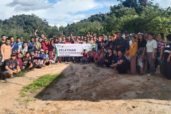 Pelatihan Praktik Perkebunan yang baik di PPSMMB.