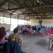 Pelatihan petani