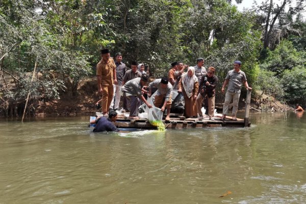 Penyebaran bibit ikan di kawasan konservasi Lubuk Larangan.