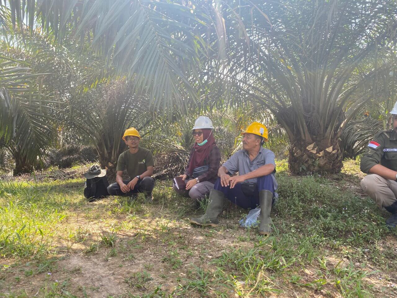 Petani Sawit