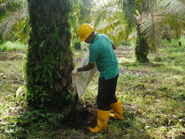 Regeneratif Agrikulture