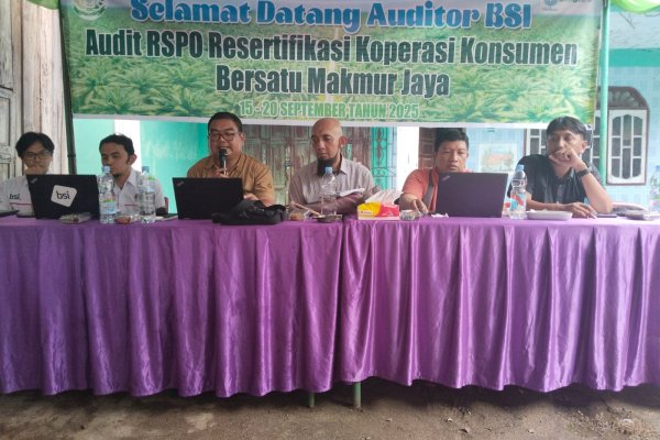 Audit RSPO