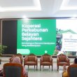 Koperasi Perkebunan Belayan Sejahtera