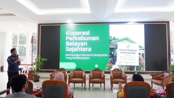 Koperasi Perkebunan Belayan Sejahtera