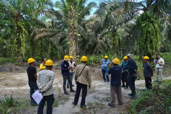 Pelatihan pendataan kebun APKSM