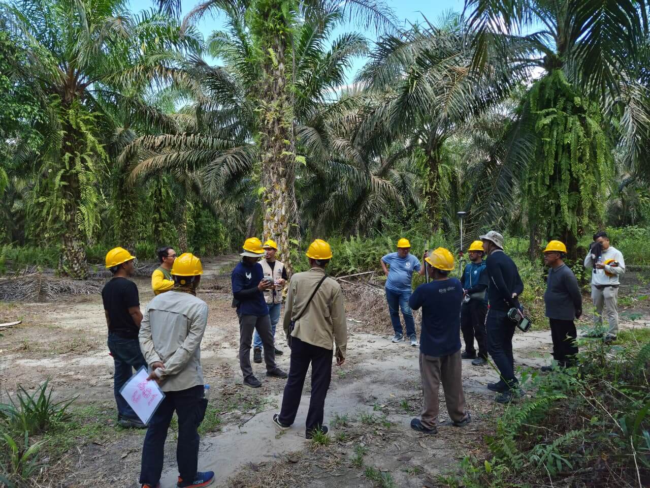 Pelatihan pendataan kebun APKSM