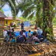 Diskusi petani untuk meningkatkan SDM