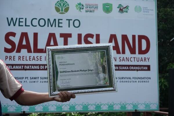 Sertifikat pemberian bantuan untuk konservasi orangutan.