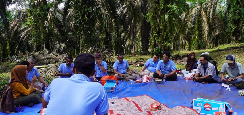 Diskusi petani sawit swadaya.