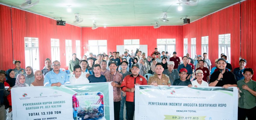 Pembagian kredit RSPO.