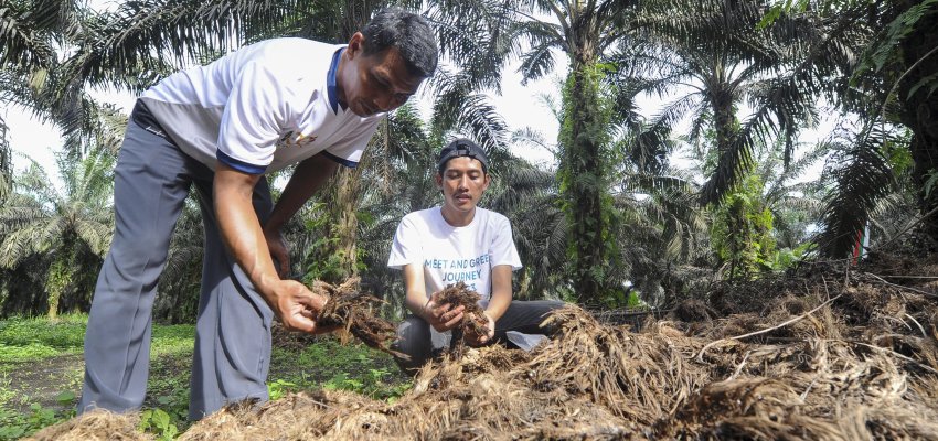 Pelatihan Regeneratif Agricultur Petani Sawit
