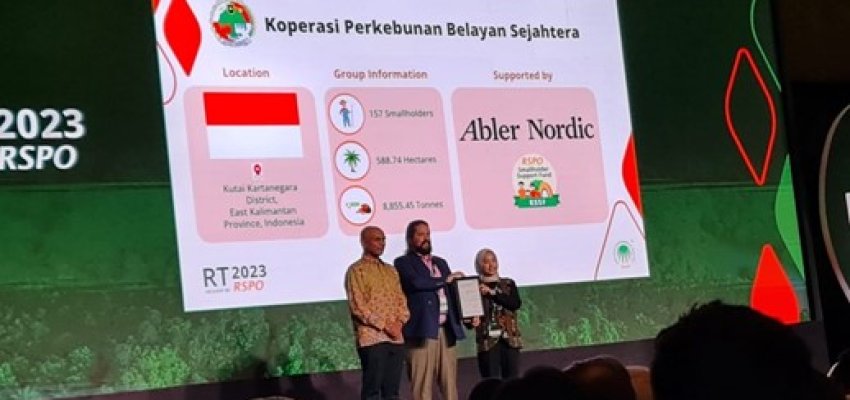 Koperasi Perkebunan Belayan Sejahtera.