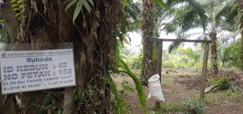 Menyediakan-tempat-sampah