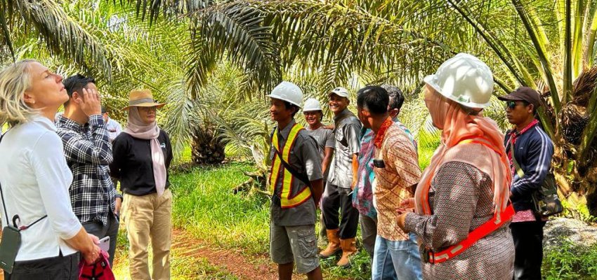 Pelatihan Pekebun
