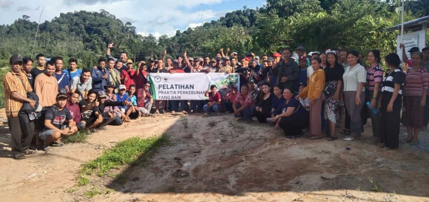Pelatihan Praktik Perkebunan yang baik di PPSMMB.