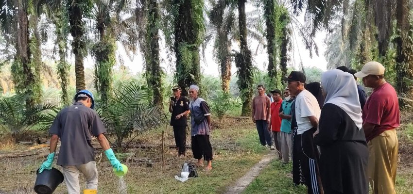 WhatsApp-Image-2024-06-15-at-09.57.07-1