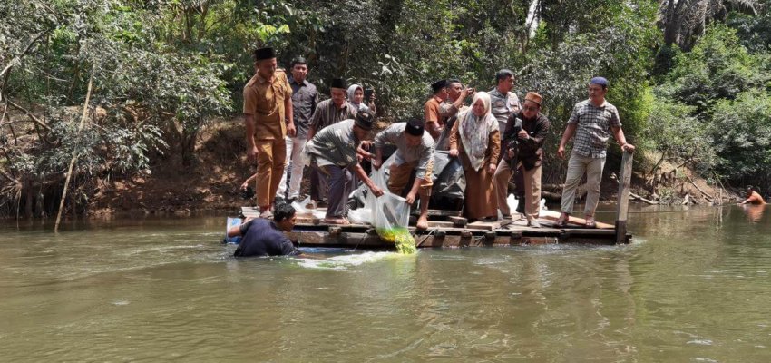 Penyebaran bibit ikan di kawasan konservasi Lubuk Larangan.