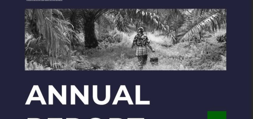 annual repor