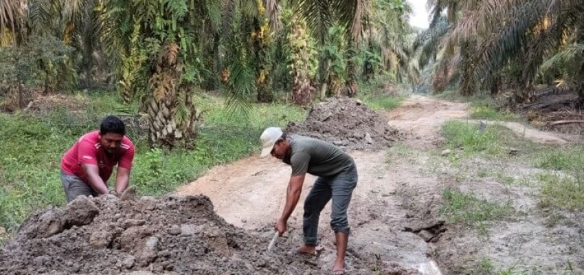 pembangunan jalan kebun