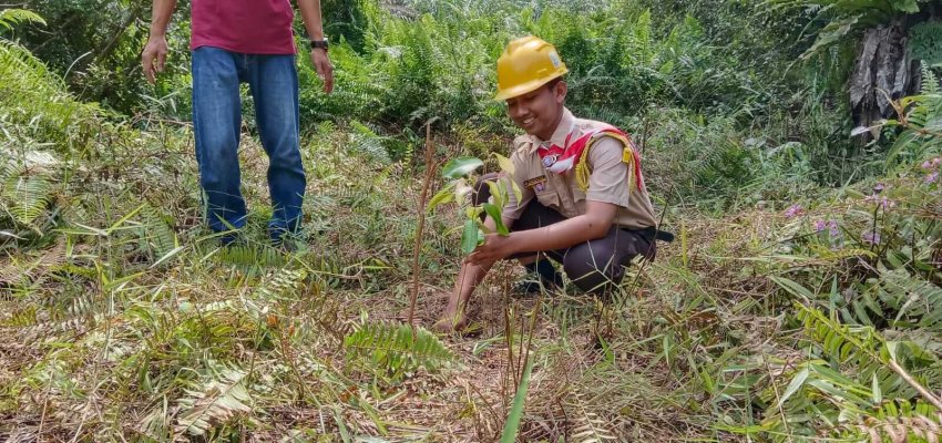 Petani sawit swadaya libatkan siswa tanam buah lokal.